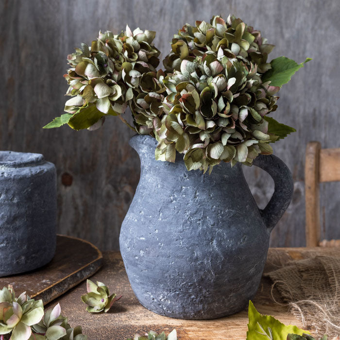 Hydrangea Chloris