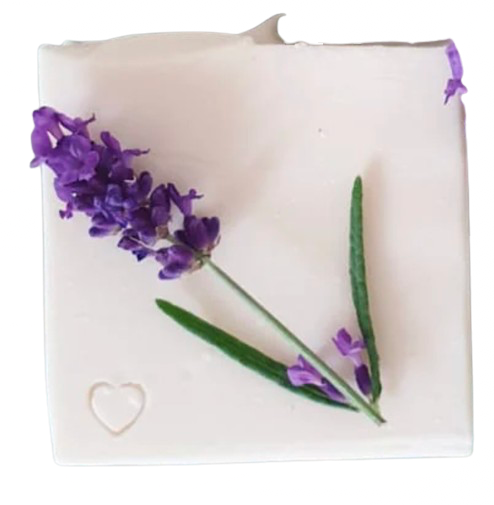 Lavender Soap with coconut milk